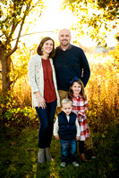 Nelsen Family // LITH, IL