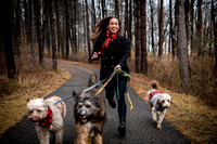 Mae and Dogs // Crystal Lake, IL