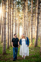 Painter Engagement // Crystal Lake, IL