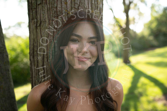 Andrews Proofs (4 of 223)