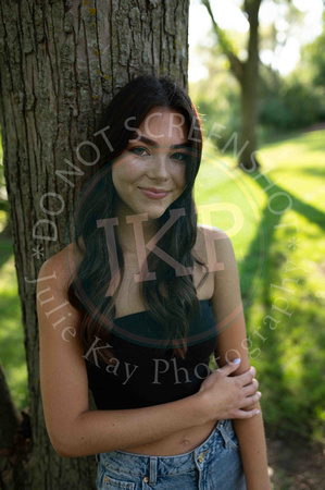 Andrews Proofs (8 of 223)