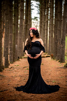 Ibarra Maternity // Crystal Lake, IL