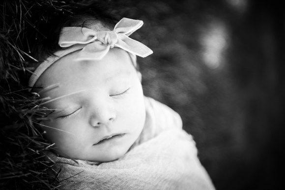 Quinn Newborn (23 of 35)
