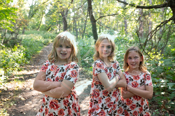Malevany Proofs (17 of 151)