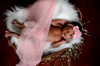 Baby Laasya // Lifestyle