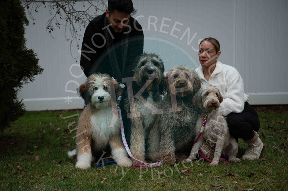 Doggies (5 of 144)
