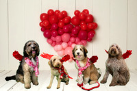 Balloon Heart Digital Backdrop 2 by Summerana