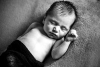 Baby Luca // Studio