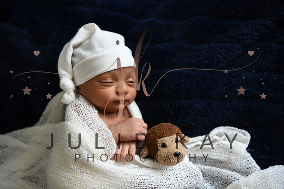Joy Proofs (16 of 132)