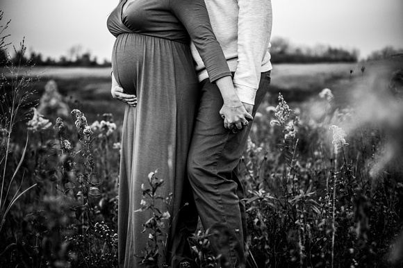 Joy Beaubien Maternity (32 of 32)