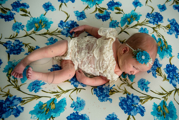 Baby F Proofs (1 of 75)
