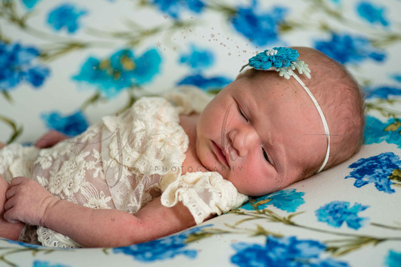 Baby F Proofs (7 of 75)