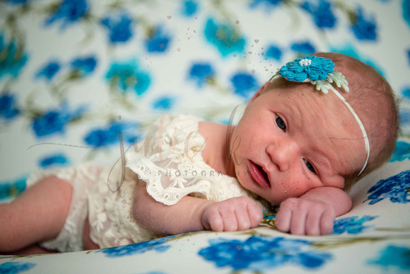 Baby F Proofs (11 of 75)