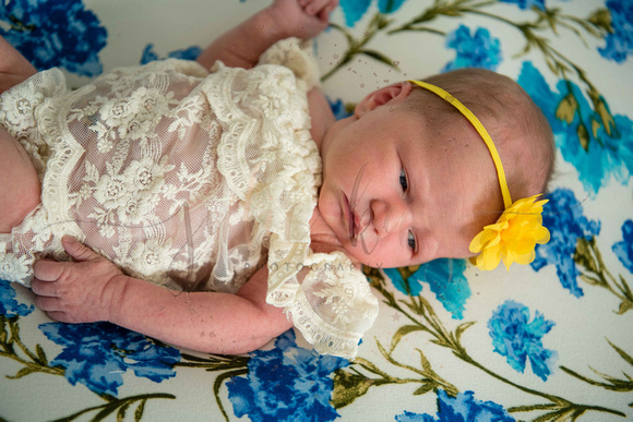 Baby F Proofs (13 of 75)