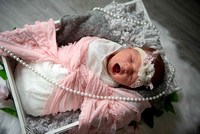 Baby F Proofs (14 of 75)