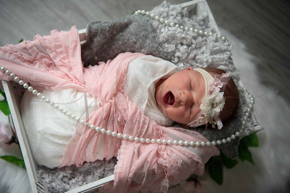 Baby F Proofs (14 of 75)
