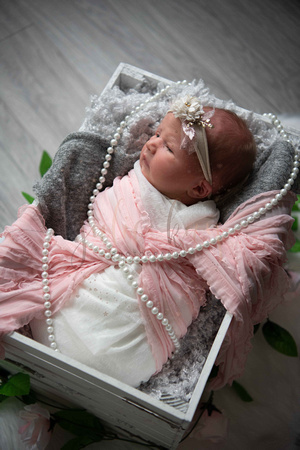 Baby F Proofs (19 of 75)