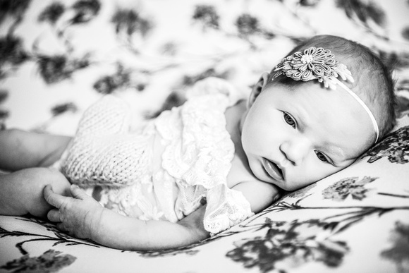 Baby Francesca (1 of 1)