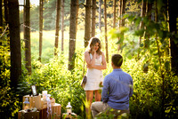 Gaylord Proposal (17 of 357)