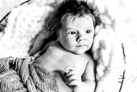 Baby Beckham (4 of 55)