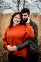 Robinson/Edelman Engagement // LITH, IL