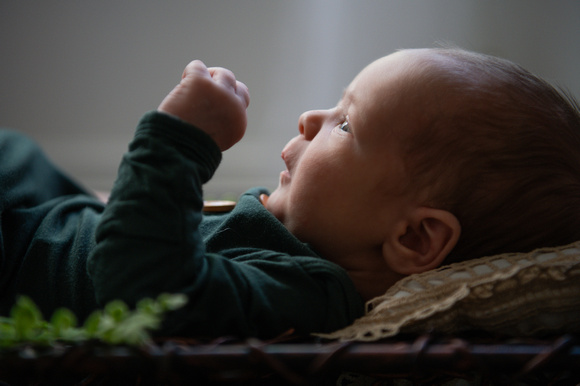 Baby Konrad (7 of 29)